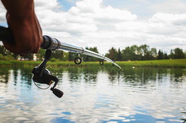 Comment choisir les meilleures cannes casting pour les carnassiers : Guide complet